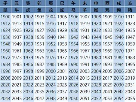 馬年出生的人|屬馬年份｜2024年幾歲？屬馬出生年份+歲數一